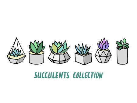 Set of succulents cactus houseplants in grey flower pots. Vector icons on white backgroundのイラスト素材