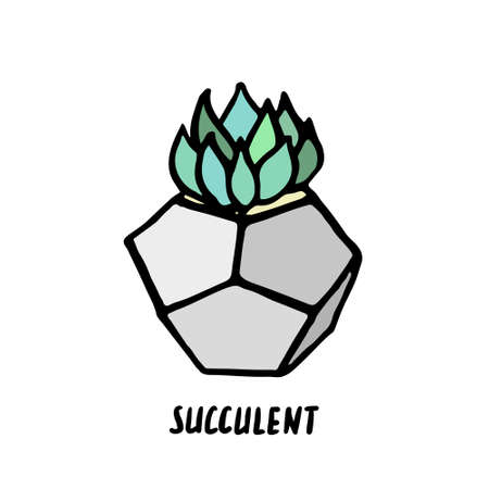 Succulent doodle print. Home plants in modern flowerpotのイラスト素材