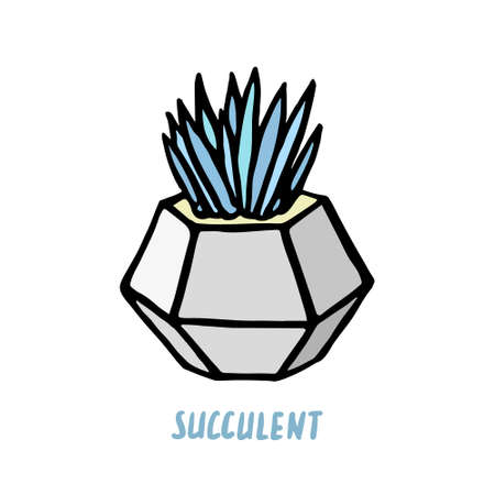 Succulent doodle print. Home plants in modern flowerpotのイラスト素材