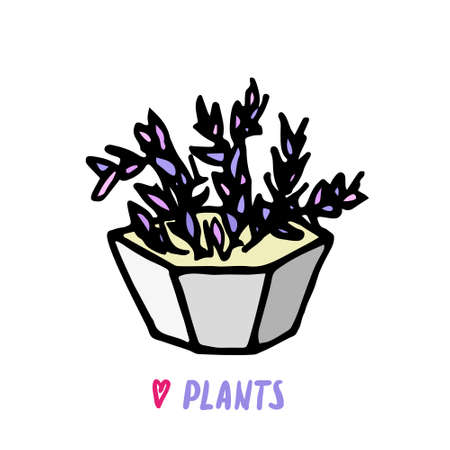 Succulent doodle print. Home plants in modern flowerpotのイラスト素材