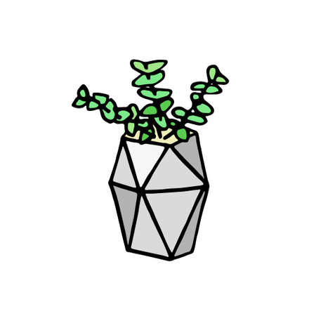 Succulent doodle print. Home plants in modern flowerpotのイラスト素材
