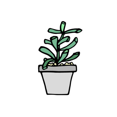 Succulent doodle print. Home plants in modern flowerpotのイラスト素材