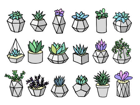 Set of succulents cactus houseplants in grey flower pots. Vector icons on white backgroundのイラスト素材