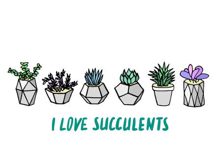Set of succulents cactus houseplants in grey flower pots. Vector icons on white backgroundのイラスト素材