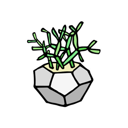 Succulent doodle print. Home plants in modern flowerpotのイラスト素材