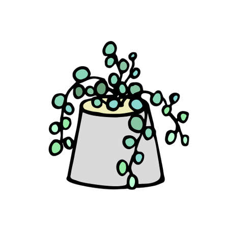 Succulent doodle print. Home plants in modern flowerpotのイラスト素材