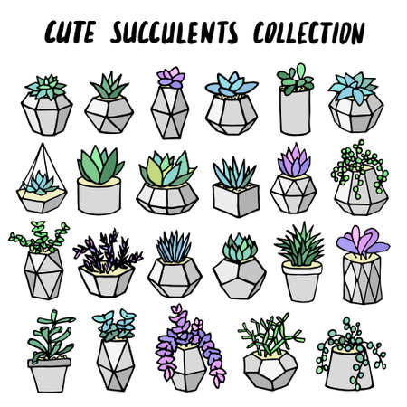 Set of succulents cactus houseplants in grey flower pots. Vector icons on white backgroundのイラスト素材