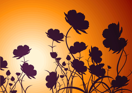 Beautiful summer floral background  Vector illustration のイラスト素材