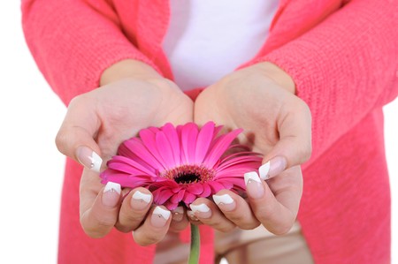 flower in female hands. Isolated on white backgroundの写真素材