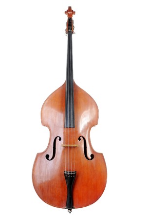 Images of the classical contrabass. Isolated on white backgroundの写真素材