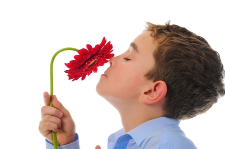 boy with flowerの写真素材