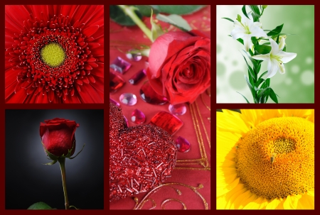 Beautiful set of flowersの写真素材
