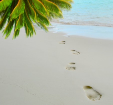 trail barefoot feet in the sandの写真素材