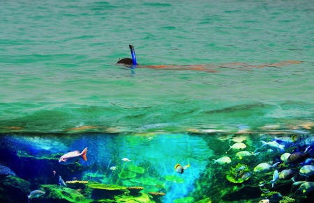 Snorkeling in the open seaの写真素材