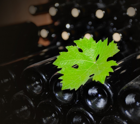 Old bottles of red wineの写真素材