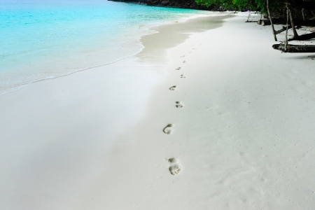 trail barefoot feet in the sandの写真素材