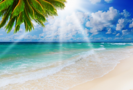 Sunny tropical beach on the islandの写真素材