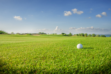 Golf club. Green golf field and ball in grassの写真素材