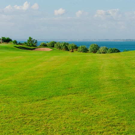 Golf club. Green golf field and ball in grassの写真素材