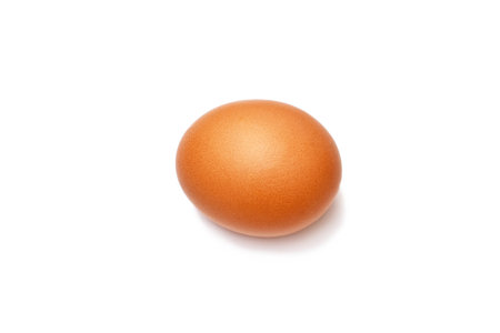 one brown chicken egg on a white background. High quality photoの写真素材