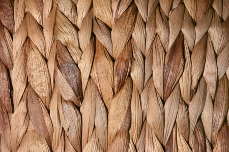 palm fiber weaving close up texture background. High quality photoの写真素材