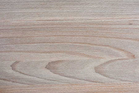 light wooden blank surface with natural pattern. the background.の写真素材