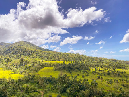 Tropical hills covered with palm trees against the blue sky and clouds . High quality photoの写真素材