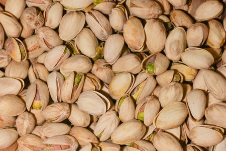 pistachio nuts in a solid layer close up for the background. High quality photoの写真素材