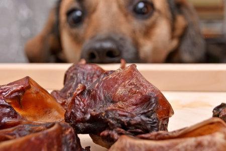 Natural treats for pets. dried meat products to feed and motivate dogs. the dog in the background looks with interest. High quality photoの写真素材