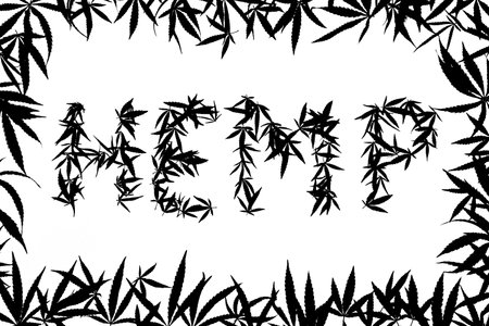 black and white inscription hemp from hemp leaves surrounded by a frame of marijuana leaves. High quality photoの写真素材