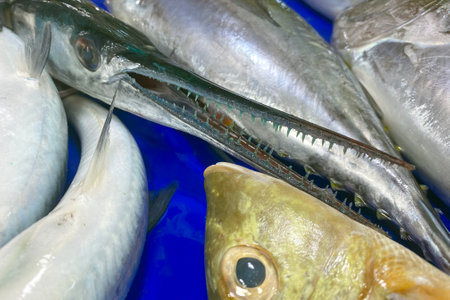 Fresh variety of fish at a fish market in Asia. Freshly caught fish. Market in the Philippines.の写真素材