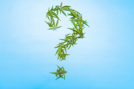 question mark made from cannabis leaves on a blue background. High quality photoの写真素材