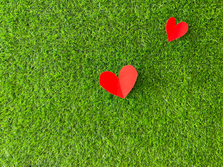 Red heart symbol made of paper on a green grassy background. High quality photoの写真素材