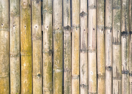 Old bamboo fence closeup for background.の写真素材