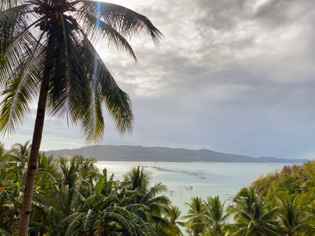 Philippine landscape, view from the mountain to the sea, coconut trees and cloudy cloudy skyの写真素材