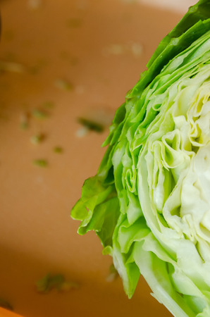 a half of fresh green cabbage. Organic vegetable cutted in two pieces. Stay healthy and be vegetarian concept. Food ingridients background.の写真素材