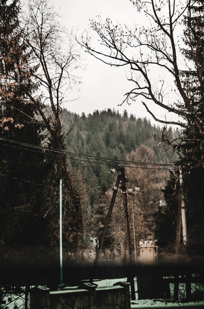 mountains are seen between the trees in winter season. Spruce forest covered with snow backgroundの写真素材