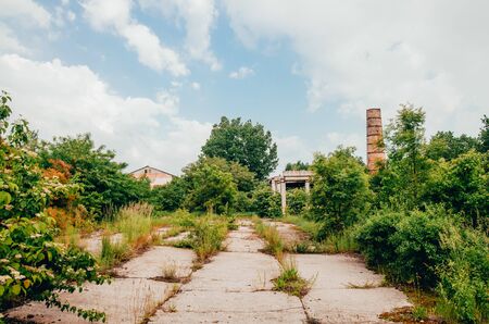 abandoned territory with green plants and old buildings