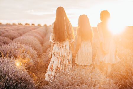 sunset over women friends walking in lavender field. Aesthetic in dresses of young girlsの写真素材