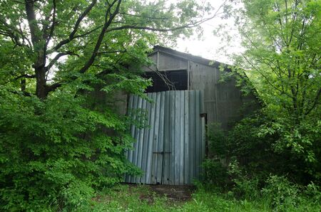 abandoned house in a forest between green treesの写真素材