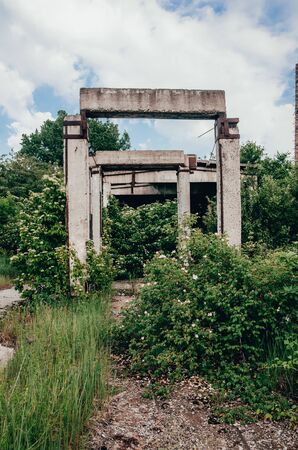 abandoned territory with green plants and old buildingsの写真素材