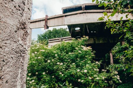 abandoned territory with green plants and old buildingsの写真素材