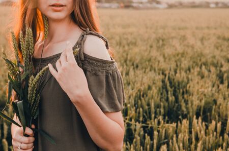 girl in dress is standing in meadow of green wheat during sunriseの写真素材