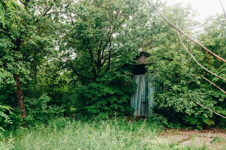 abandoned house in a forest between green treesの写真素材