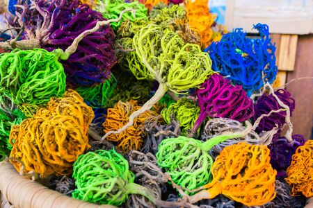 texture background of colorful dried water coralsの写真素材