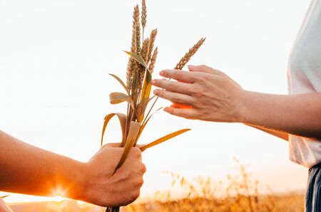 man giving wheat to a girl as flowersの写真素材