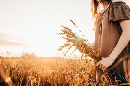 girl in dress is holding sheaf of wheat in her handsの写真素材