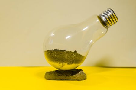 the process of making terarrium plant in light bulb. future mini garden in glassの写真素材
