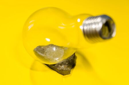 the process of making terarrium plant in light bulb. future mini garden in glassの写真素材