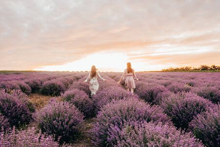 women running in the lavender field. two girls and gay pride conceptの写真素材